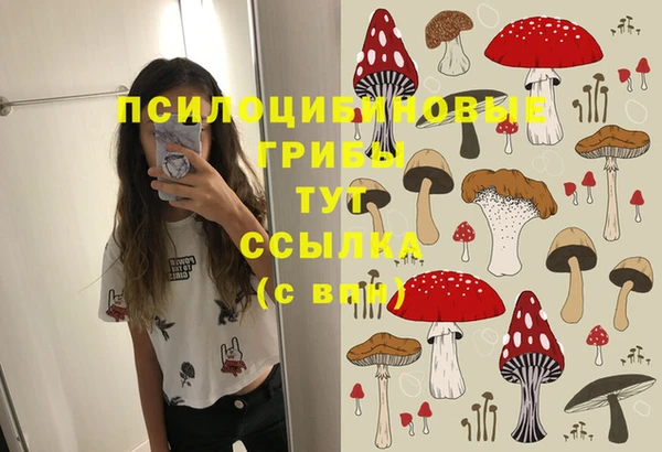 прущие грибы Алексин