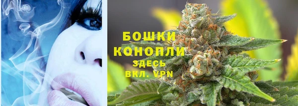 СК Кодинск
